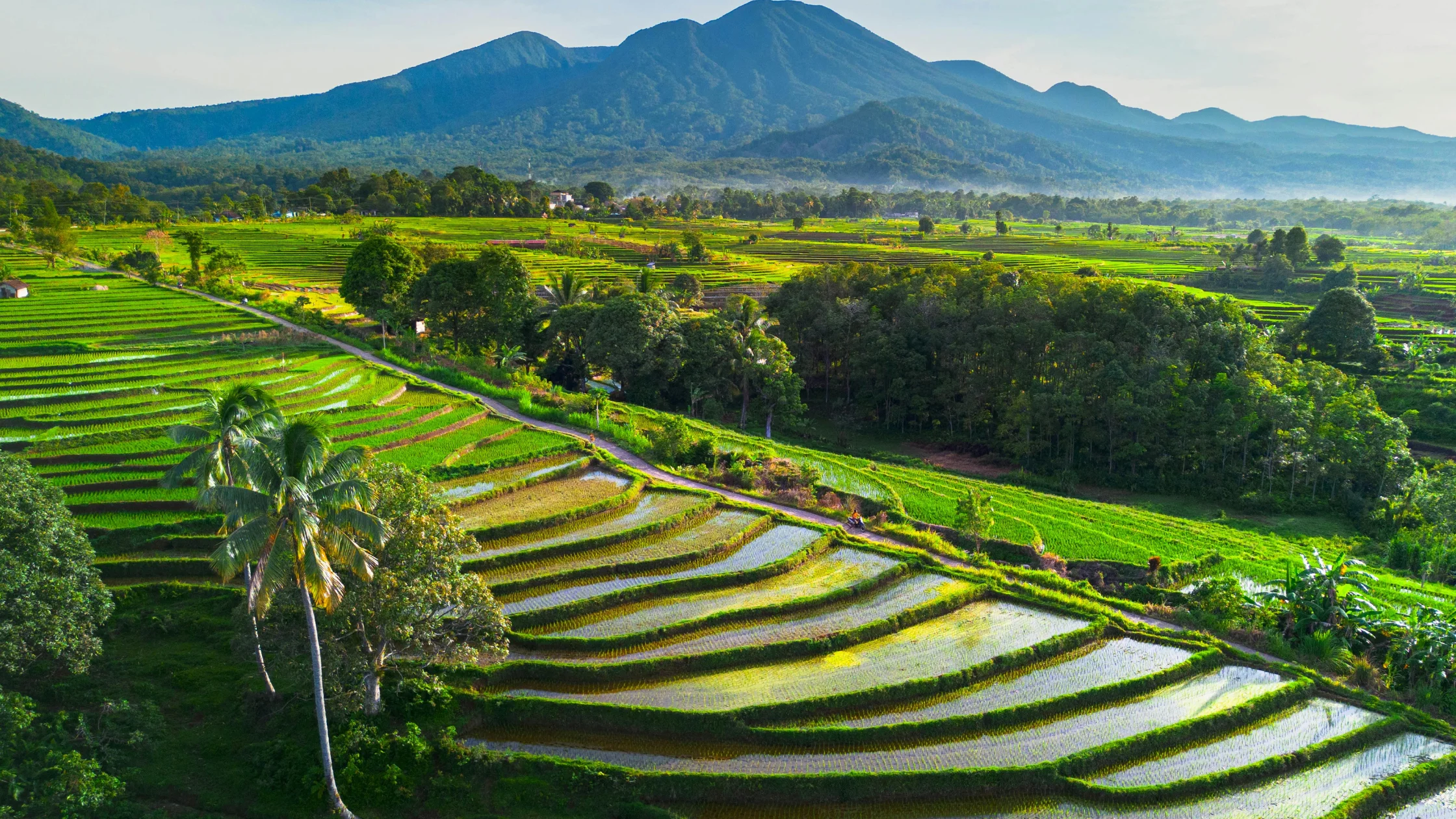 Bali Yoga Retreat Guide: Where to Go & What to Expect