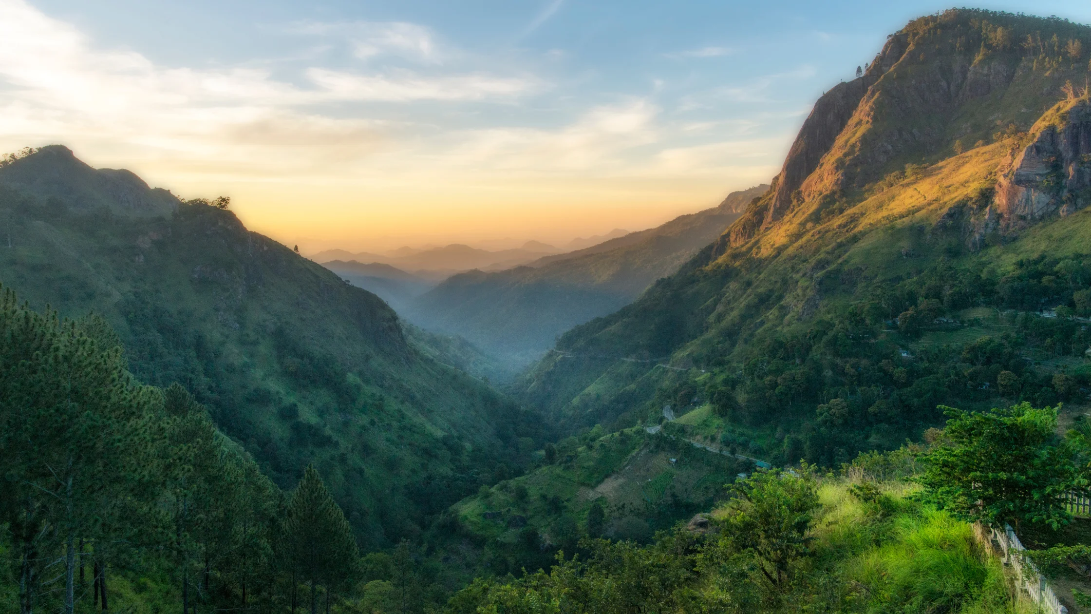 Sri Lanka Yoga Retreat Guide 2026: Surf, Ayurveda & Tropical Wellness Escapes