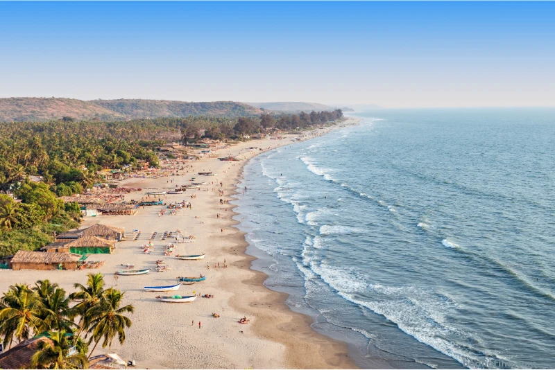 arafly beach with many boats and palm trees on the