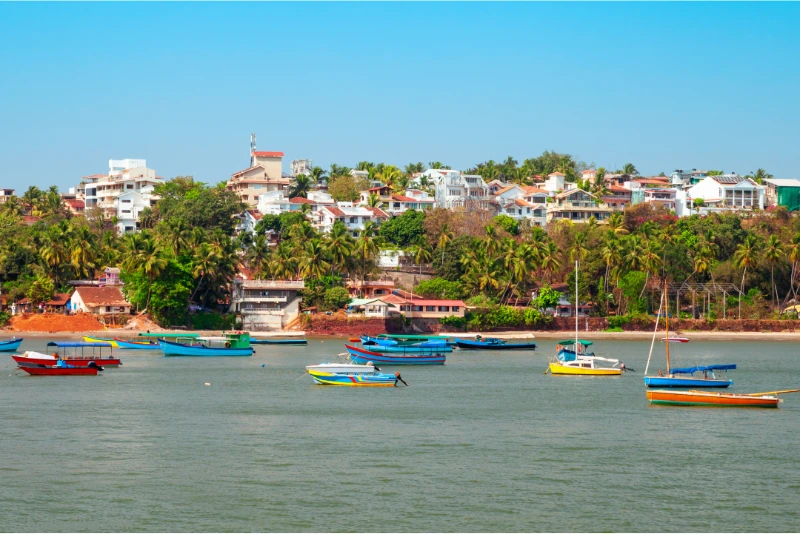 boats are in the water near a city with palm